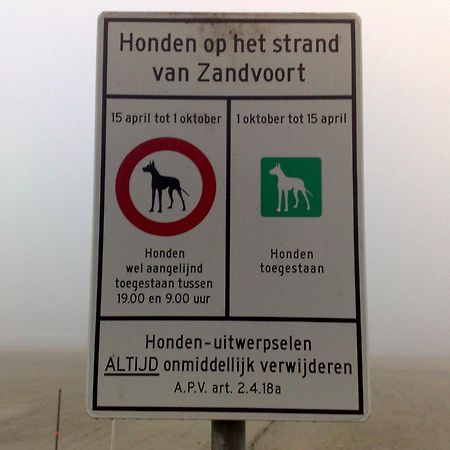 Appartement In Zandvoort Kültér fotó