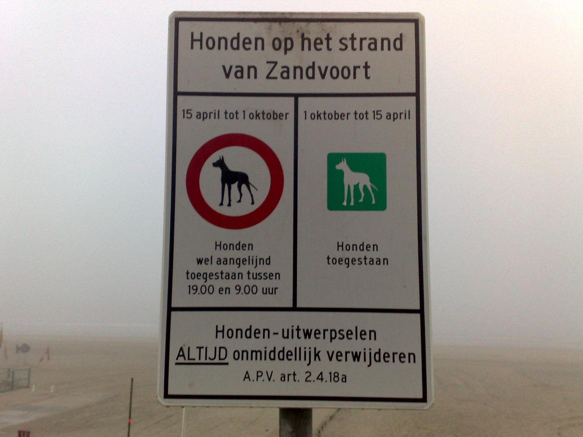 Appartement In Zandvoort Kültér fotó